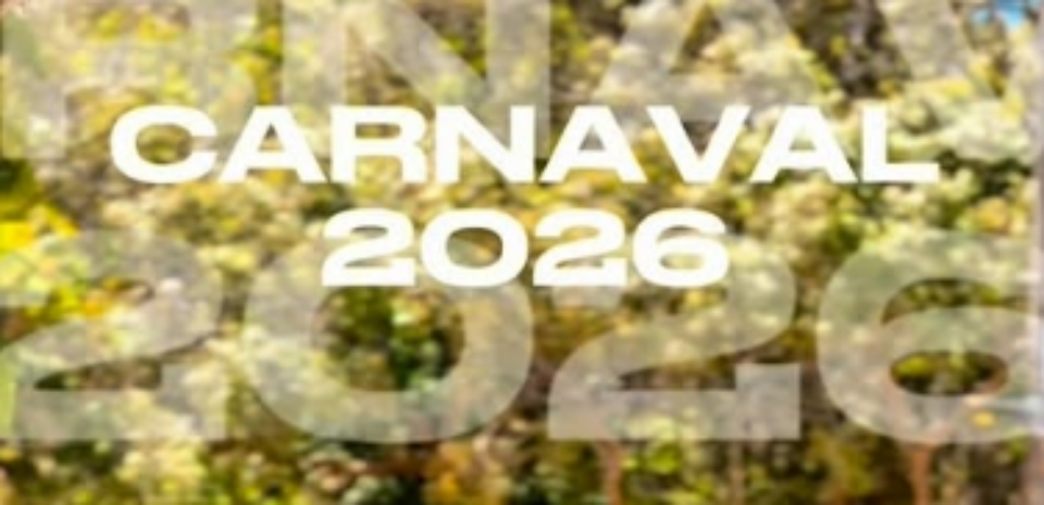 CONCESSÃO DE INCENTIVO FINANCEIRO NO VALOR DE R$ 400,00 POR BLOCO CARNAVALESCO OU CULTURAL