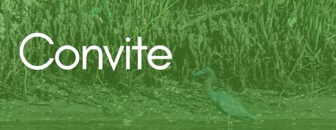 Captura de tela 2026-03-02 183133