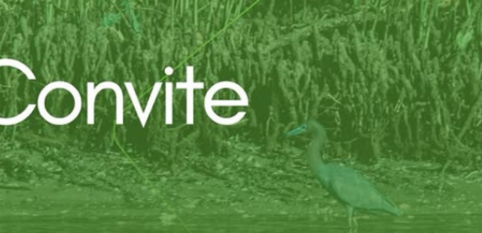 REUNIÃO SOBRE BENEFÍCIOS DA CATEGORIA E O PROJETO ORLAS