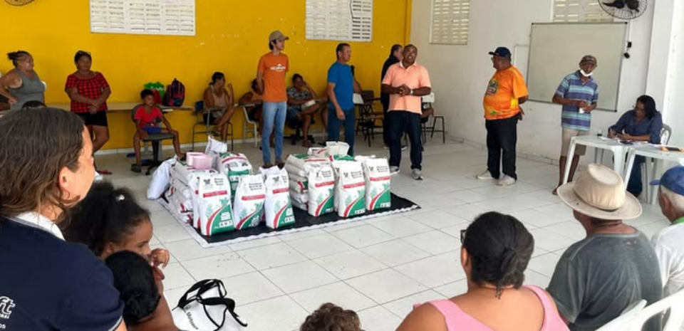 DISTRIBUIÇÃO DE APROXIMADAMENTE 1.000 QUILOS DE SEMENTES